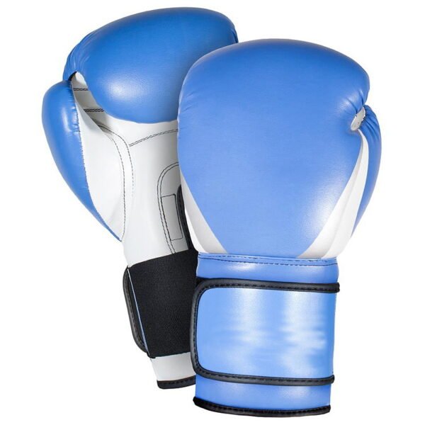 Boxing Glove