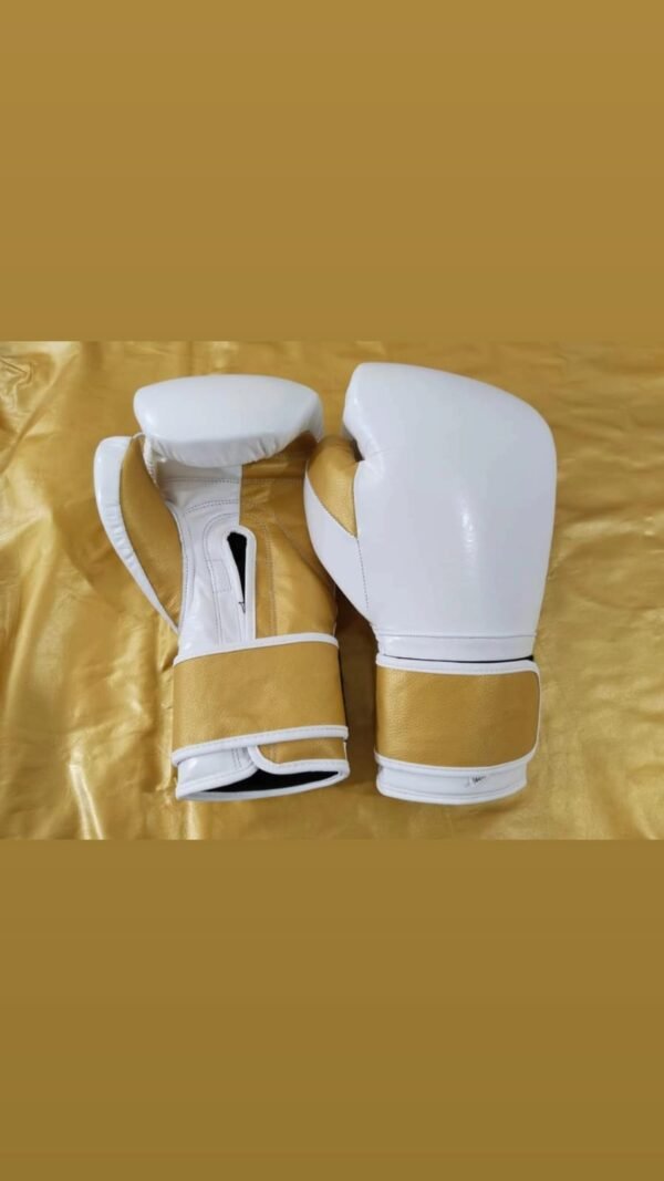 Boxing Glove