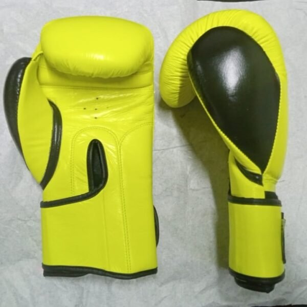 Boxing Glove