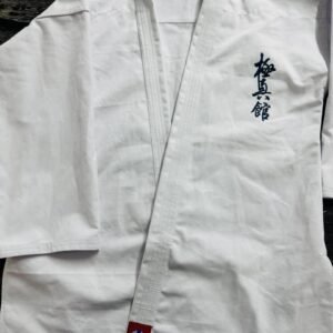 Martial Arts suit