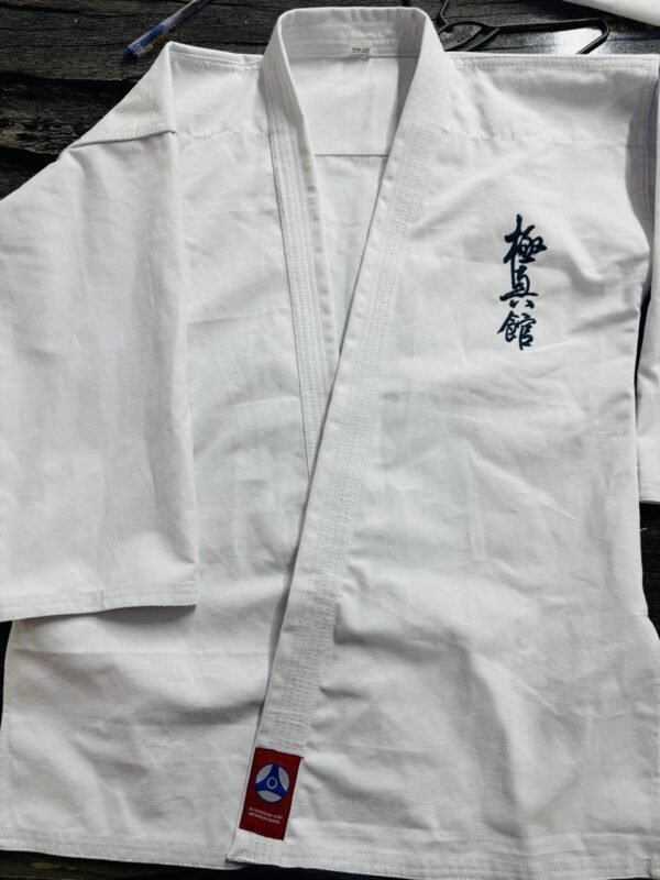 Martial Arts suit